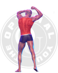 Back Primary Muscle Group for Exercise Demonstration