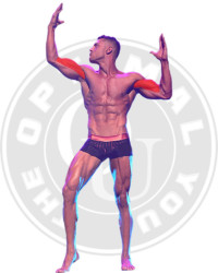 Biceps Primary Muscle Group for Exercise Demonstration