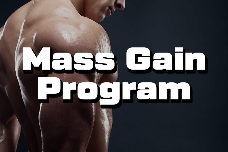 Mass gain program